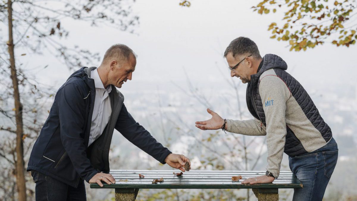 Scheidungsmediation in Steyr: Konflikte einvernehmlich lösen